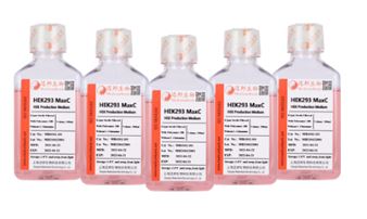 [Medium Bank] Serum free* HEK293 Cell High-Performance Transfection Solution