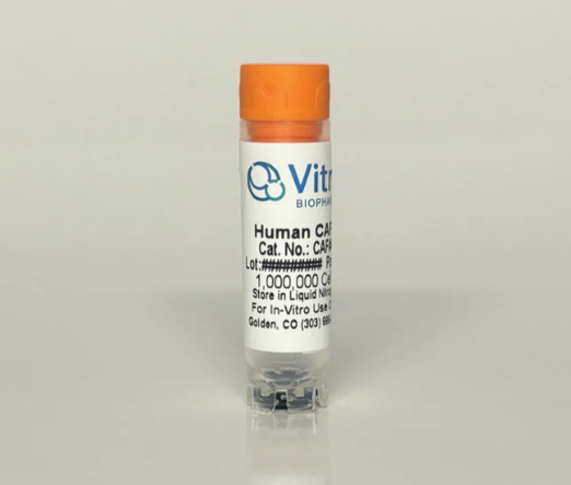 [Vitro Biopharma] Human Pancreatic Adenocarcinoma Cancer-Associated Fibroblasts (CAFs): 1,000,000 Cells