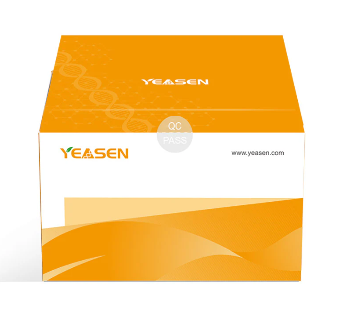 [YEASEN] BSA ELISA Kit