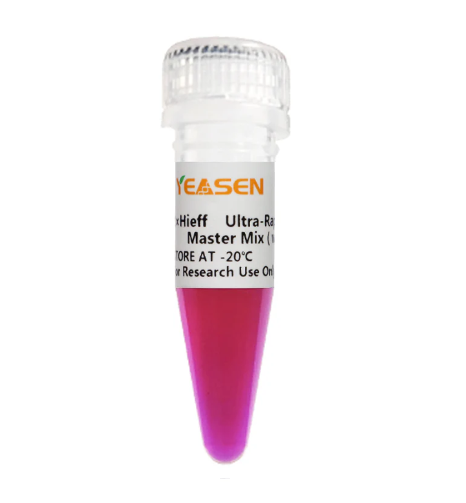 [YEASEN] 2× Hieff™ Ultra-Rapid II HotStart Universal PCR Master Mix