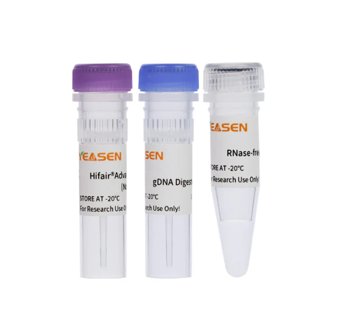[YEASEN] Hifair™ AdvanceFast 1st Strand cDNA Synthesis SuperMix for qPCR (gDNA digester plus)