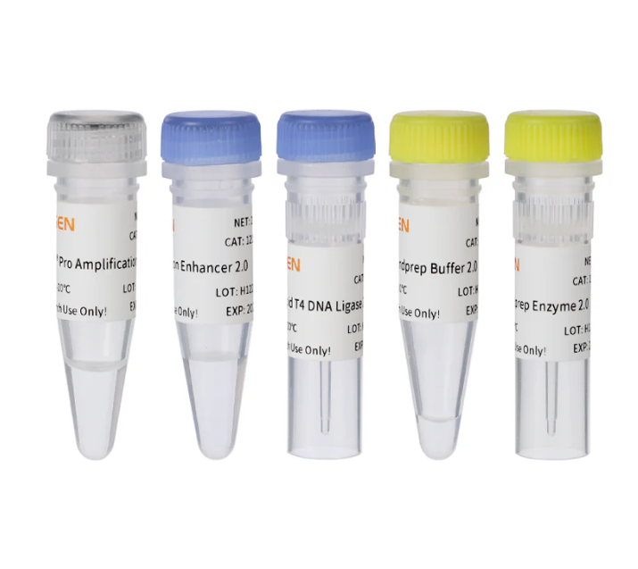 [YEASEN] Hieff NGS™ DNA Library Prep Kit 2.0 (Mechanical)