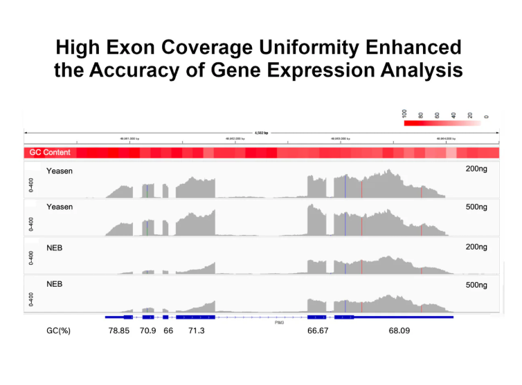 [YEASEN] Hieff NGS™ EvoMax RNA Library Prep Kit (Strand-specific)