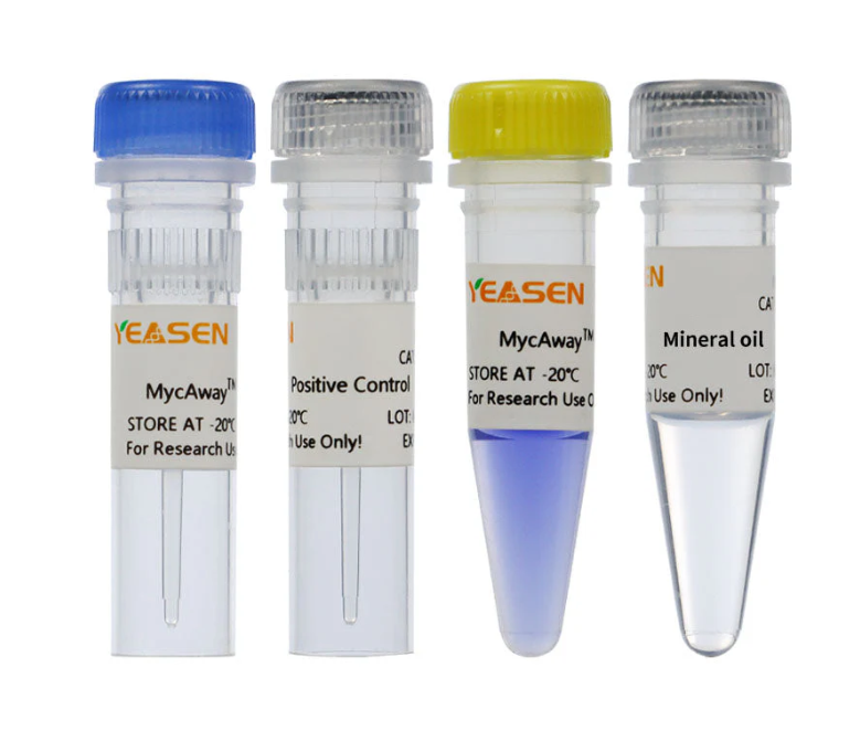 [YEASEN] MycAway™ Plus-Color One-Step Mycoplasma Detection Kit (2G, 30 mins)