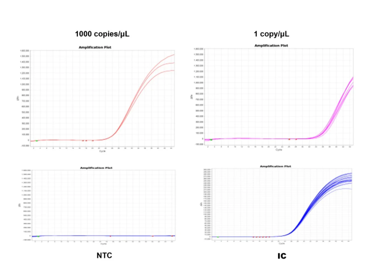 [YEASEN] MycAway™ Mycoplasma qPCR Detection Kit (2G)