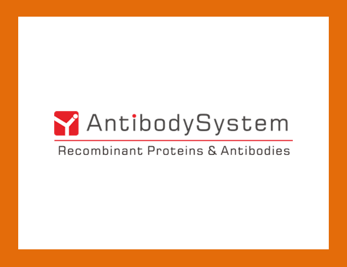 [Antibodysystem] Recombinant RSV 제품 리스트