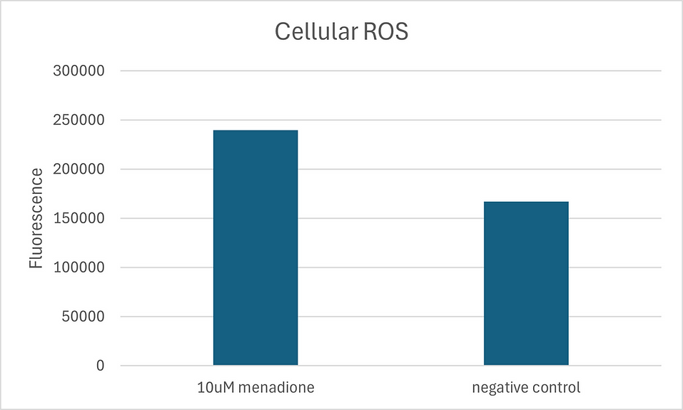 [Signosis] DCFDA ROS Assay Kit (100 Tests)