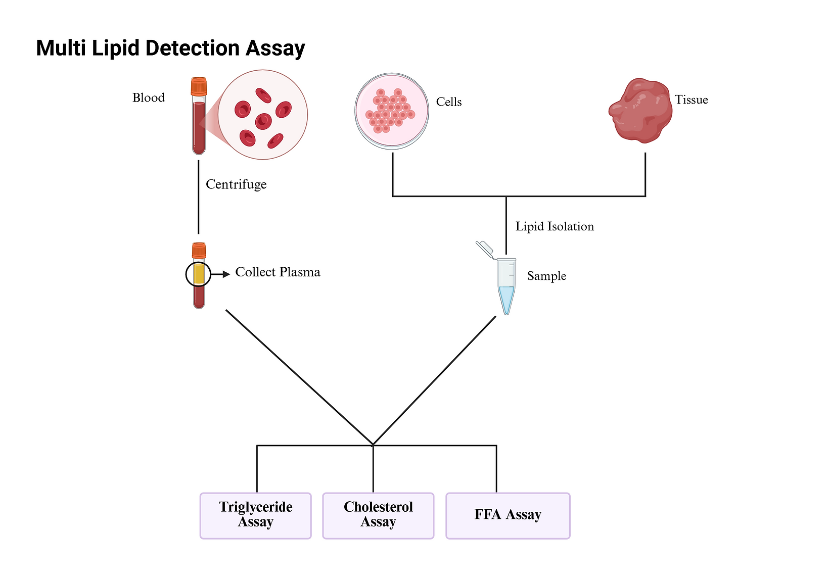[Signosis] Multi Lipid Detection Assay Kit (100 Tests per Analyte)
