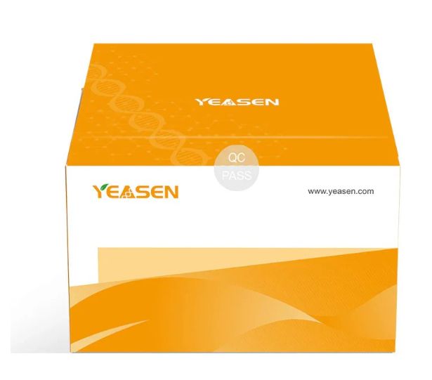 [YEASEN] Hieff™ Endo-free Plasmid Maxi Kit V2
