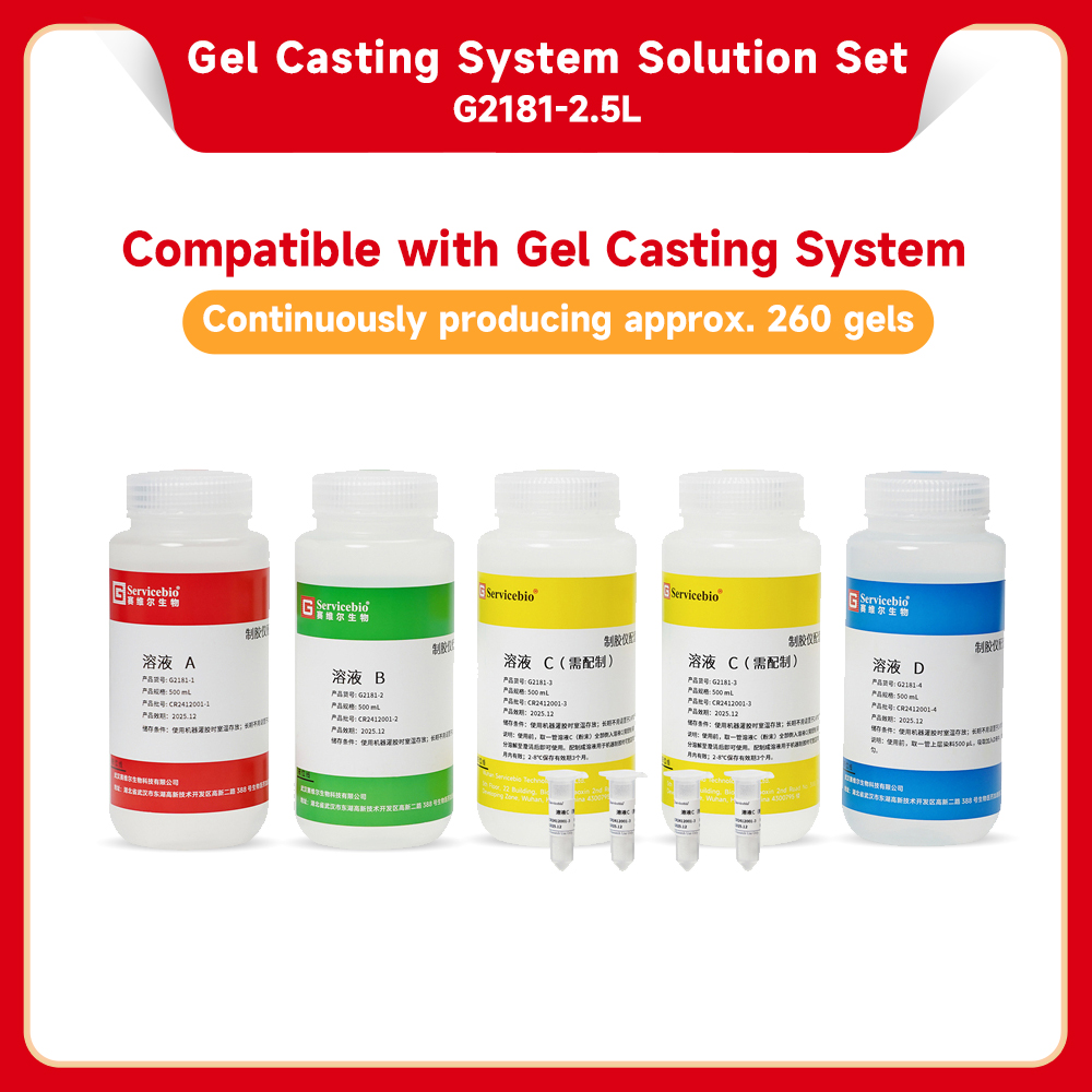 [Servicebio] Gel Casting System Solution Set