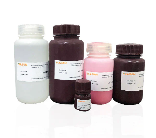 [YEASEN] PAGE Gel Quick Preparation Kit (12.5%)