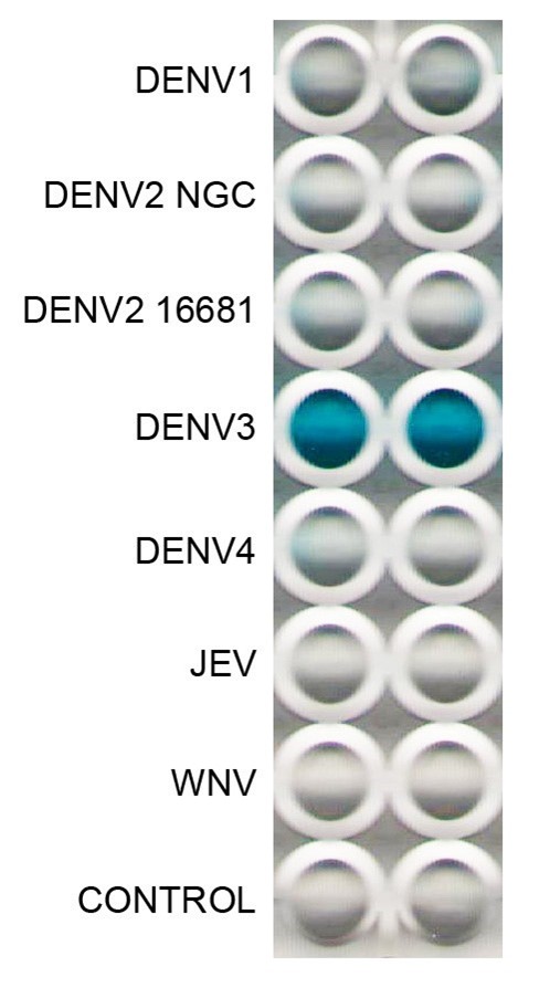 [IBT Bioservices] Anti-Dengue Virus Serotype 3 Antibody, DE9