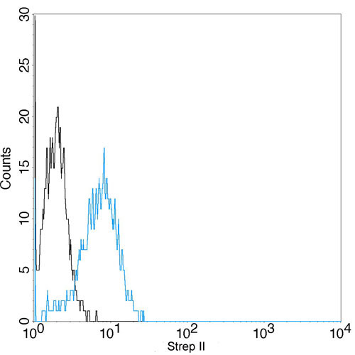 [Genscript] THE™ NWSHPQFEK Tag Antibody,mAb,Mouse