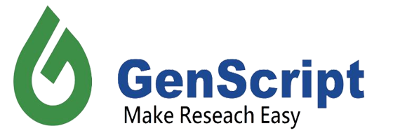 [Genscript] MonoRab™ Rabbit Anti-Humanized VHH Antibody [iFluor 555], mAb
