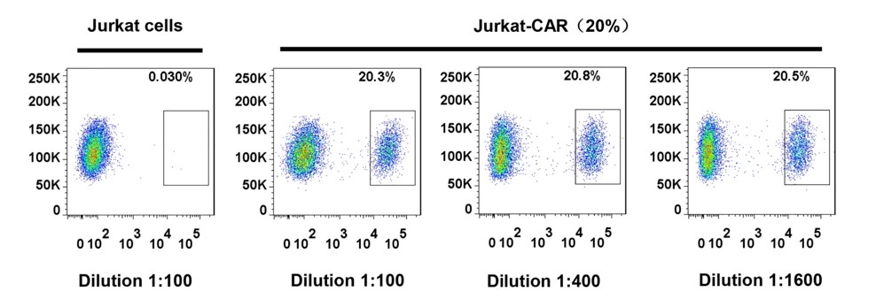 [Genscript] MonoRab™ Rabbit Anti-Camelid VHH Cocktail [PE]