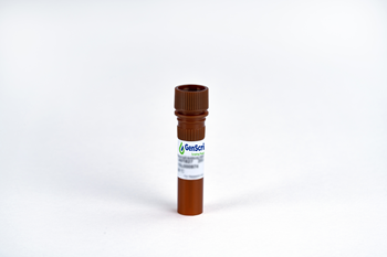 [Genscript] MonoRab™ Rabbit Anti-scFv Cocktail (Min X) [iFluor 488]