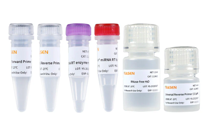 [YEASEN] Hifair™ miRNA 1st Strand cDNA Synthesis Kit