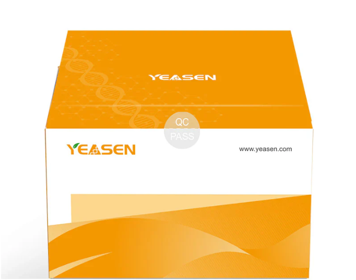 [YEASEN] Hieff™ Endo-free Plasmid Mini Kit