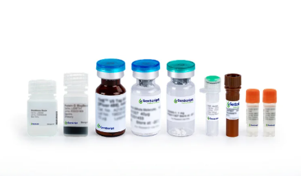 [Genscript] USP5 Antibody, mAb, Rabbit