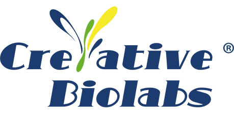 [Creative Biolabs] Anti-FMDV VP3 (D70, E139, A195) Neutralizing Antibody (V3S-1022-YC3545)