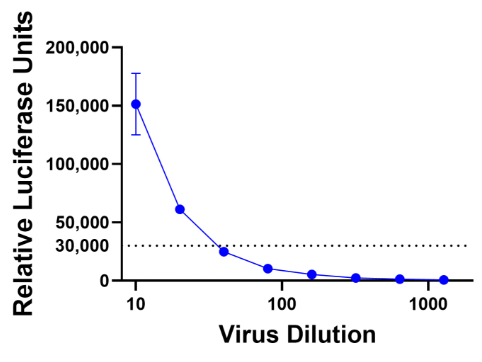 [IBT Bioservices] rVSV-pseudotyped Bundibugyo ebolavirus Glycoprotein (rVSV-BDBV-GP), Sequence PP_006XHL9.2