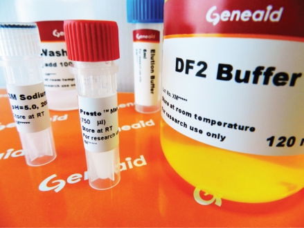 [Geneaid] Large DNA Fragments Kit (DFL100, DFL300)