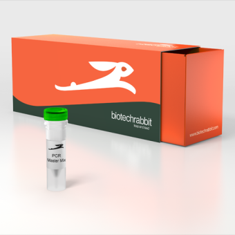 [Biotechrabbit] 2X Green PCR Master Mix Direct-Load