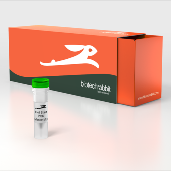 [Biotechrabbit] 2X Green Hot-Start PCR Master Mix Direct-Load