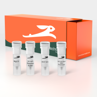 [Biotechrabbit] ExactiFi™ Hot-Start DNA Polymerase, 1 U/µl