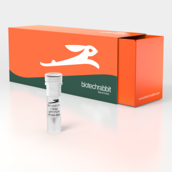 [Biotechrabbit] 5X UniFi™ 1-Step qRT-PCR Probe Master Mix