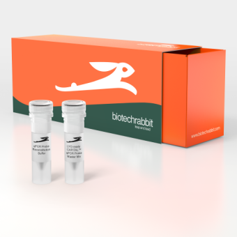 [Biotechrabbit] 14X LYO-ready CAPITAL™ qPCR Probe Mix