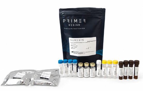 [Primer Design] genesig® Complete kit for Bundibugyo Ebola virus (BDBV) v2.0