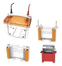 [YEASEN] PET 4&Blot Vertical electrophoresis transfer cell（1.5mm）