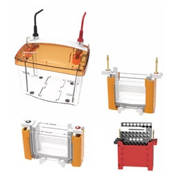 [YEASEN] PET 4&Blot Vertical electrophoresis transfer cell（1.0mm）