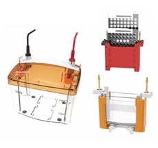 [YEASEN] PET 2&Blot Vertical electrophoresis transfer cell（1.0mm）