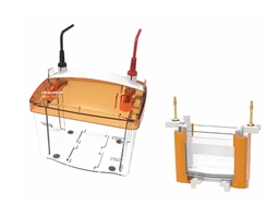 [YEASEN] PET 2 Vertical Electrophoresis Tank（1.0mm）