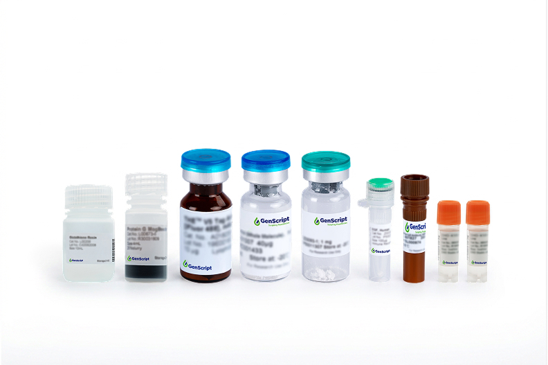 [Genscript] PARP 1 Antibody, mAb, Rabbit