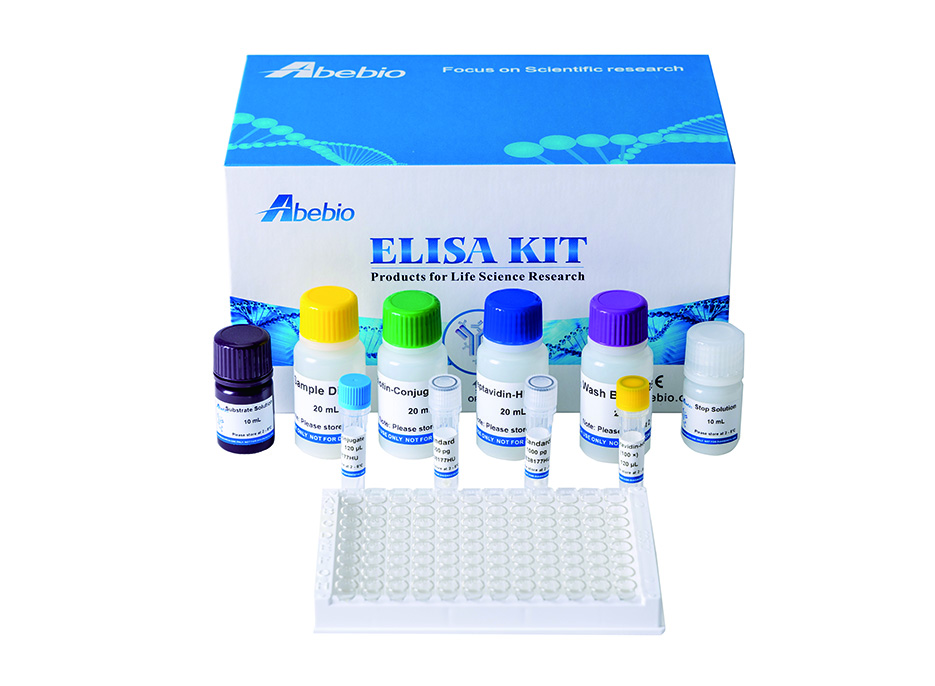 [Abebio] Pig Anti-CSFV Antibody (CSFV-Ab) ELISA Kit