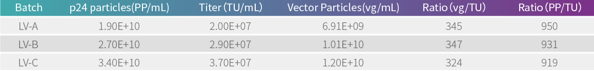 Result comparison between p24 and lentiviral vector RNA copy number