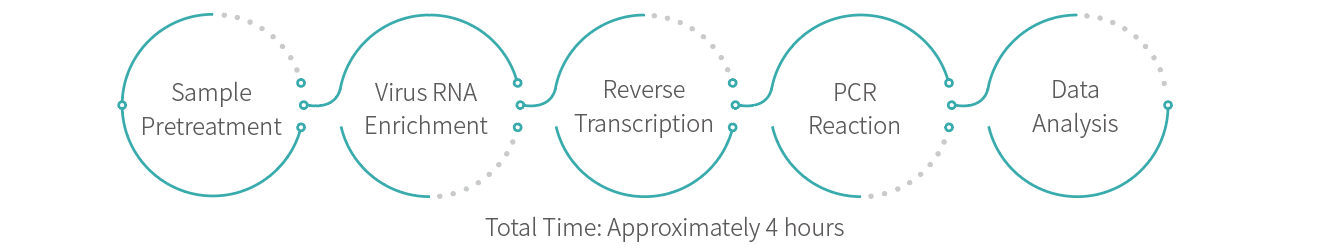 test steps to dertermine lentiviral vector RNA number, evaluating physical titer of lentivirus samples