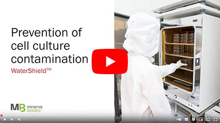 Poster Image Youtube Video Prevention of Cell Culture Contamination