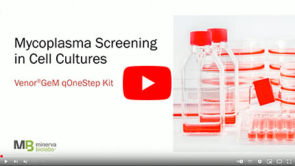 Poster Image Youtube Video Mycoplasma Screening in Cell Cultures