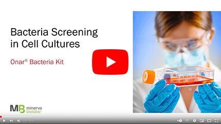 Poster Image Youtube Video Bacteria Screening in Cell Cultures