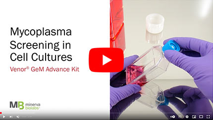 Poster Image Youtube Video Mycoplasma Advance Screening in Cell Cultures