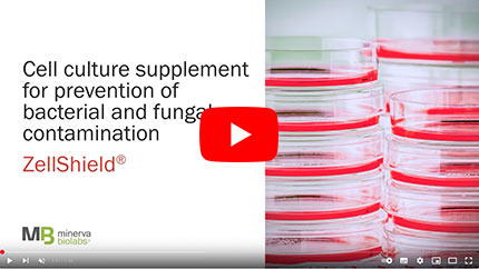 Poster Image Youtube Video Cell Culture Supplement for Prevention of Bacterial and Fungal Contamination