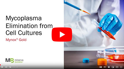 Poster Image Youtube Video Mycoplasma Elimination in Cell Cultures