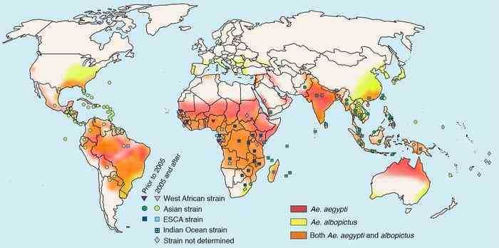 Geographic Distribution of Endemic CHIKV and Its Vectors (Silva LA, 2017)
