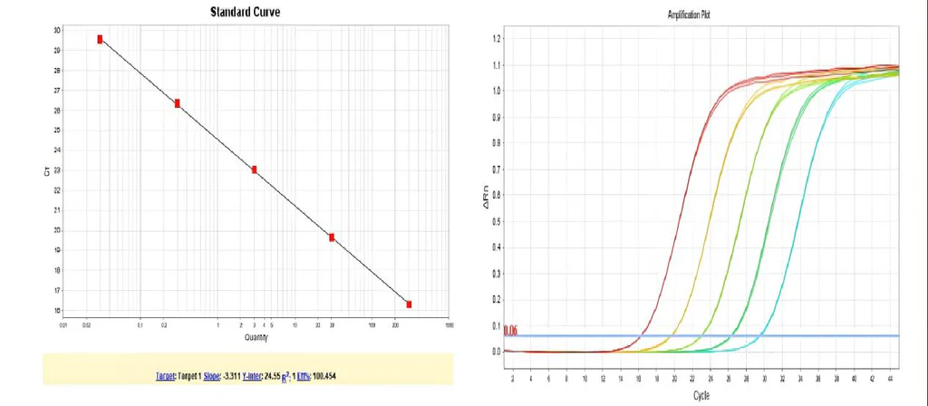 Figure 1. Standard curve (left) and amplification curve plot (right) for HEK293 DNA (3G).