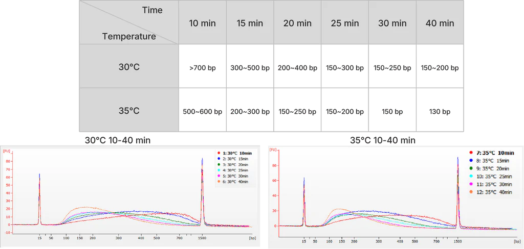 Figure 2. Fragment size distribution of 250 ng human gDNA using the 12972 fragmentation module.