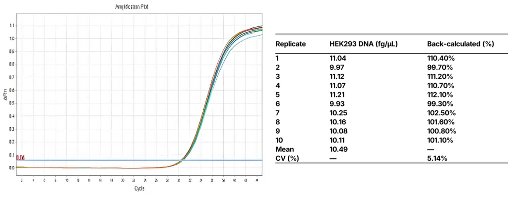 Figure 2. qPCR detection of HEK293 DNA at 10 fg/μL.